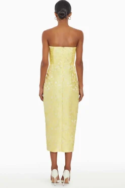 Outlet Ivy Dress Women Midi Dresses