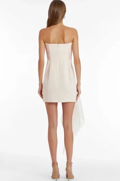 Online Mandy Rose Dress Women Mini Dresses