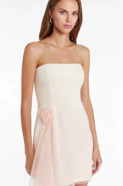 Online Mandy Rose Dress Women Mini Dresses