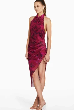 Flash Sale Samba Midi Dress In Printed Mesh Women Midi Dresses